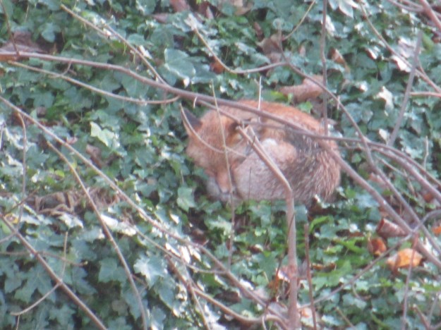 Looked comfortable enough!