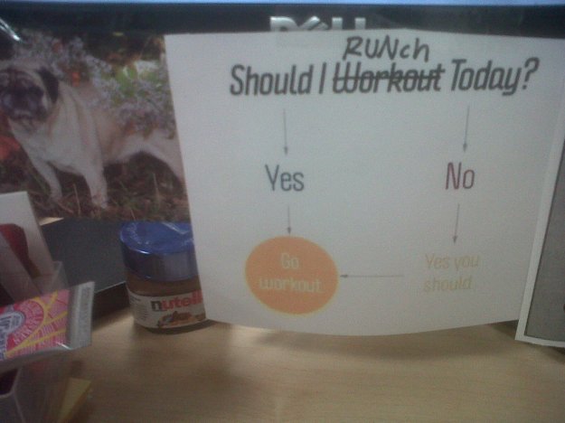 IMG01584-20130206-1600