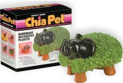 chia_elephant