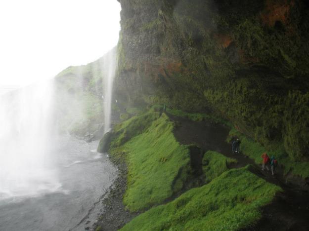 1234565_10100709048548031_460571893_n