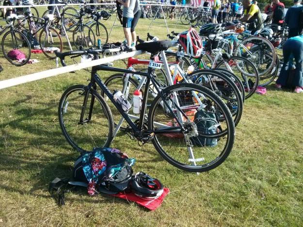 1278935_10100730332355111_395629804_o