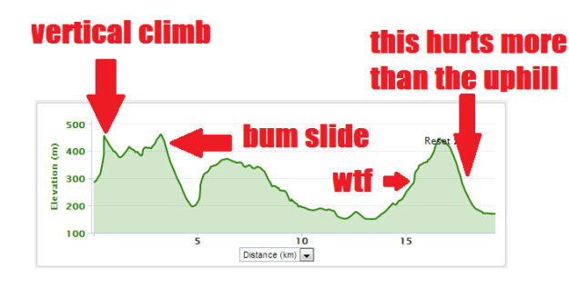 redbullsteeplechaseelevationprofile