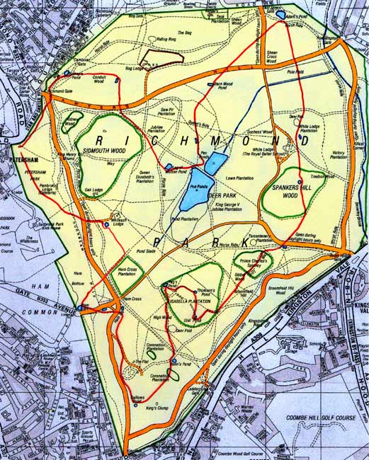 1504016_567702606646405_763228069_n