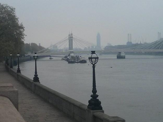 Lovely morning cycle to Richmond Park