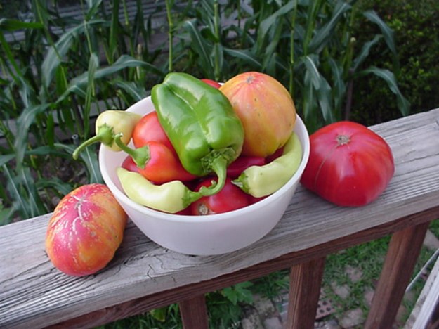 2752087493_dd7b61711a_o