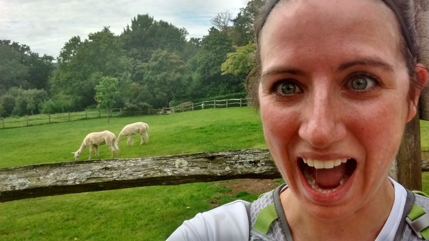 IMG_20150913_114324613_HDR