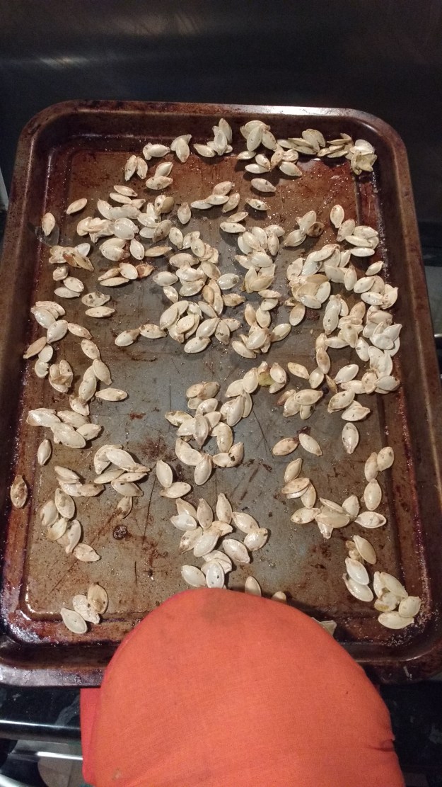 IMG_20151030_190727633