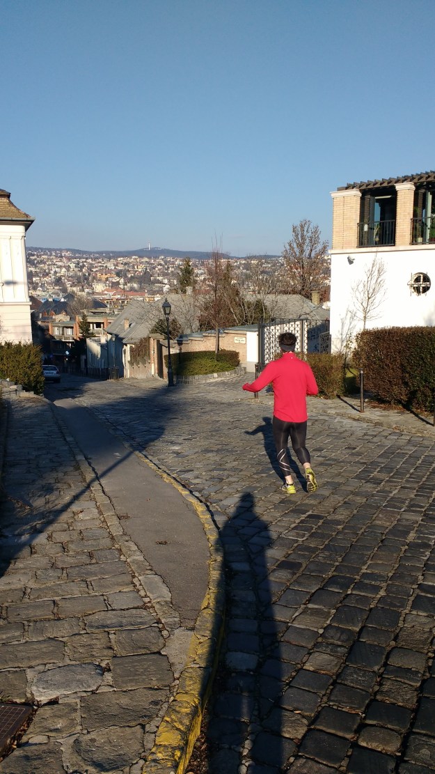 IMG_20160116_105308958