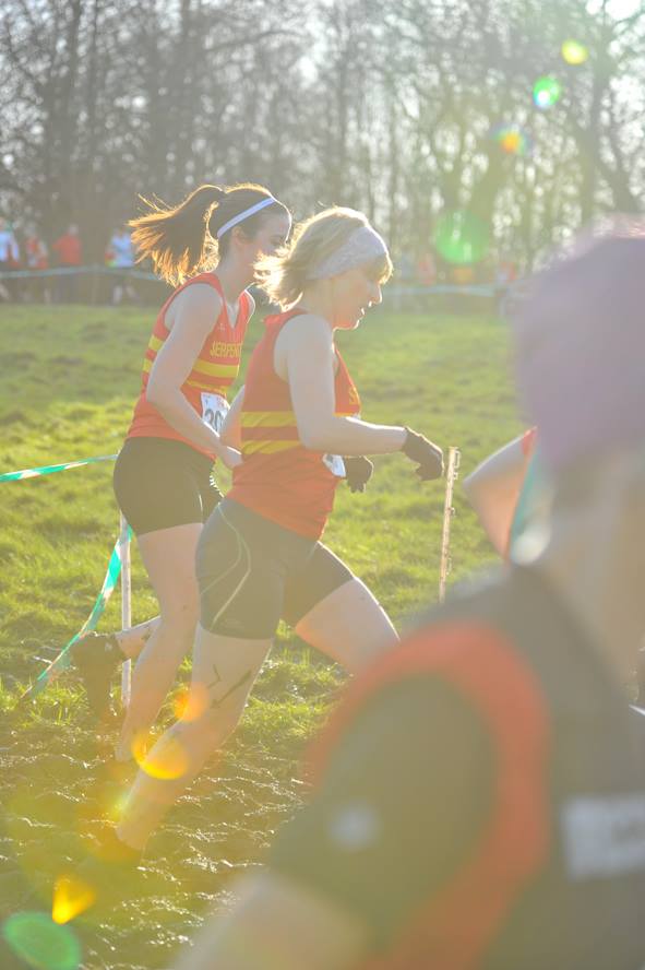 Photo © Gavin Edmonds https://www.facebook.com/gavin.edmonds.1