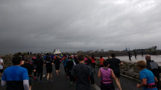 IMG_20160326_150232465 - Copy