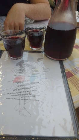 IMG_20160408_192644859