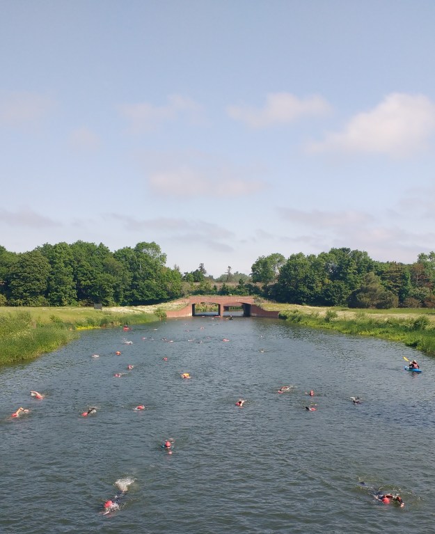 IMG_20160605_101752552 (1)