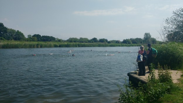 IMG_20160605_112048446 (1)