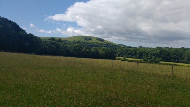 IMG_20160702_111831806