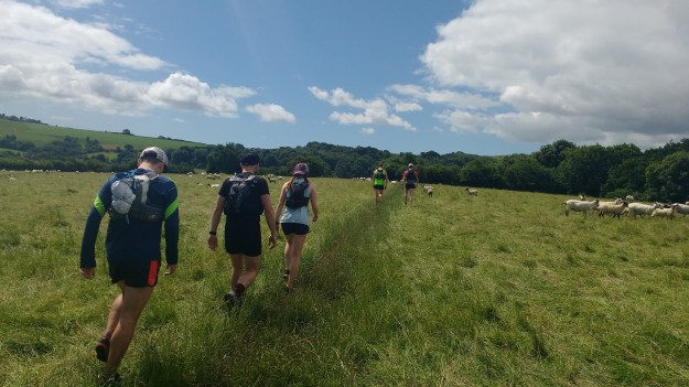 IMG_20160702_112210382