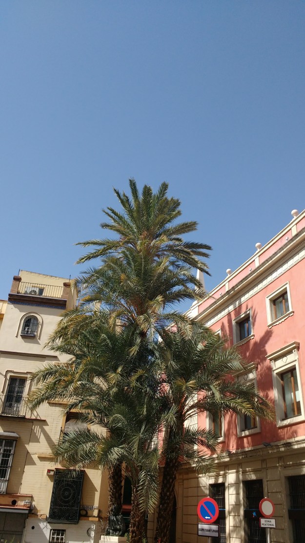 img_20161004_134334320