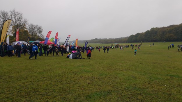 img_20161112_133636573